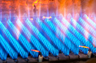Waterstock gas fired boilers